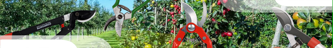 ابزارهای حرفه ای لایت و آلتونا  4